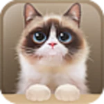 Logo of Shui The Kitten Lite android Application 